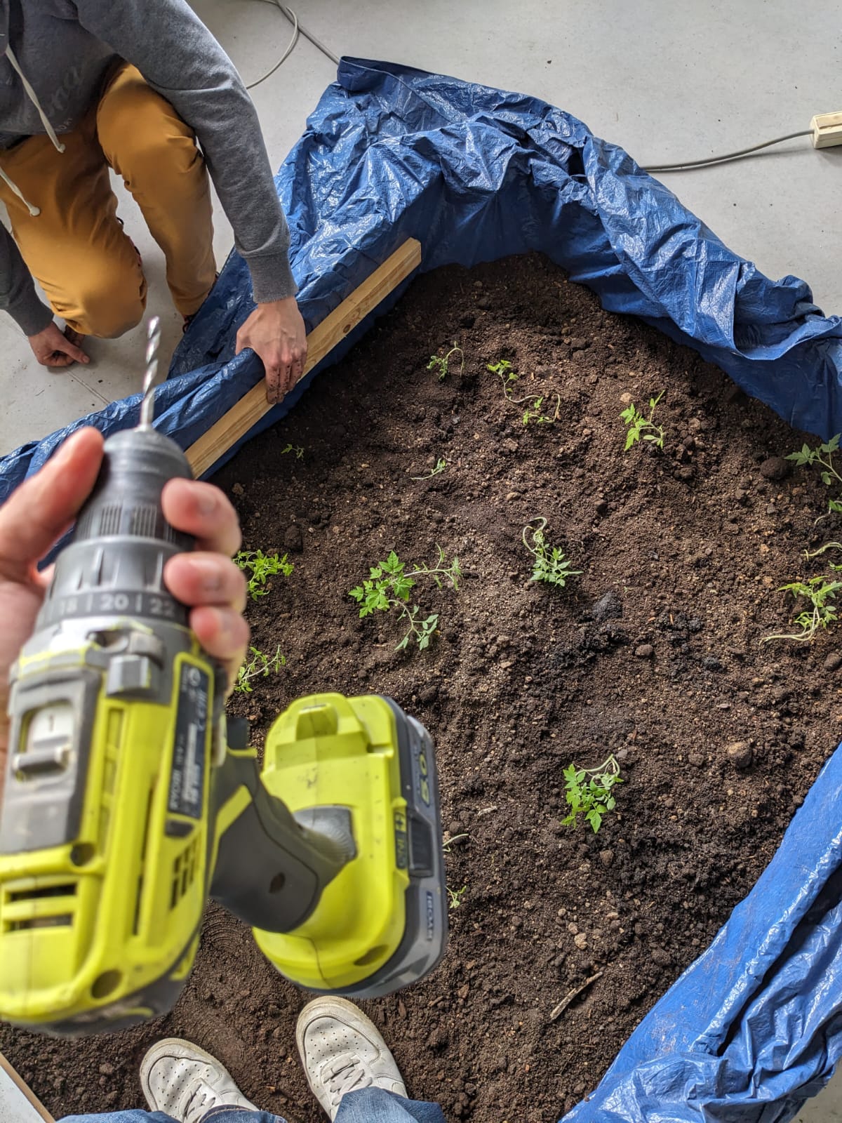 Réaménagement du potager
